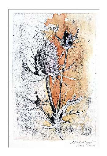 Jeannette Dubielzig | Wer das Unkraut kennt, sieht auch die Blume. | Papierlithografie und Aquarell