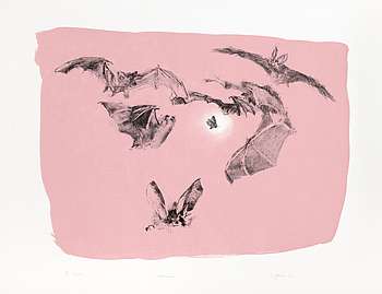 Friederike Jokisch, "Fledermaus", 2011, 50 x 63,5 cm, 2-Farb-Lithografie, Auflage: 13