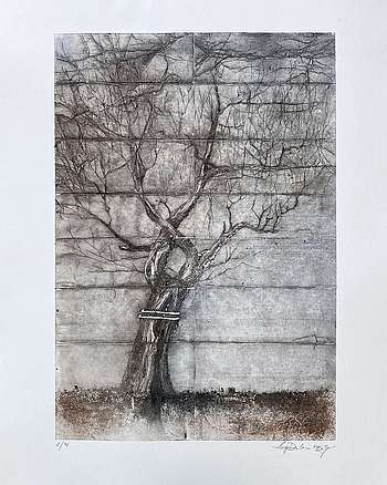 Jeannette Dubielzig, Der alte Quittenbaum, Kaltnadel auf Tetrapacks, 50 x 65 cm