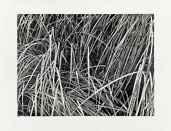 Gras, 2024 Linolschnitt, Reduktion, 6 Farben Auflage: 12 Papier: 53 x 69 cm