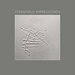 Sternwald-Impression ©2019 Henrieke Strecker